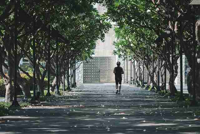 平台热推:蘑菇视频劲爆合集全网疯传,引发热议不断